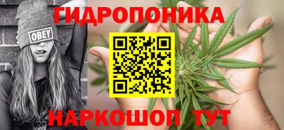 стафф Ипатово